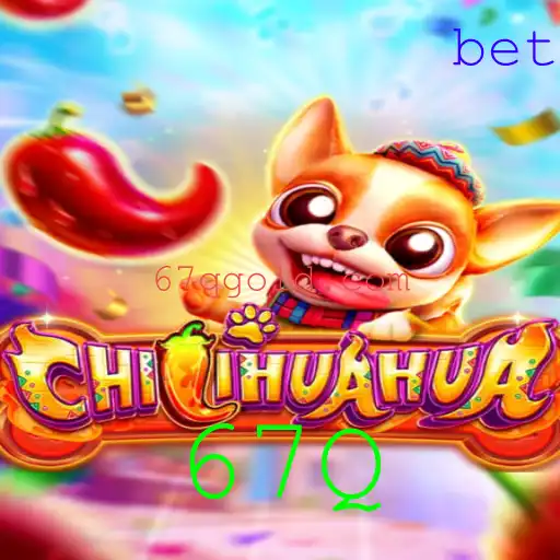 Descubra o Fascinante Mundo de CHILIHUAHUA